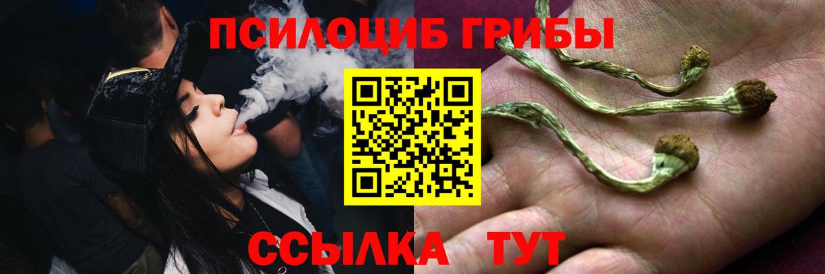 Зеленогорск  Галлюциногенные грибы мухоморы  что такое   Галлюциногенные грибы Magic Shrooms  Вход с VPN 